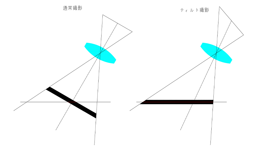 シャインプルーフ